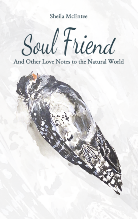 Soul Friend: And Other Love Notes to the Natural World