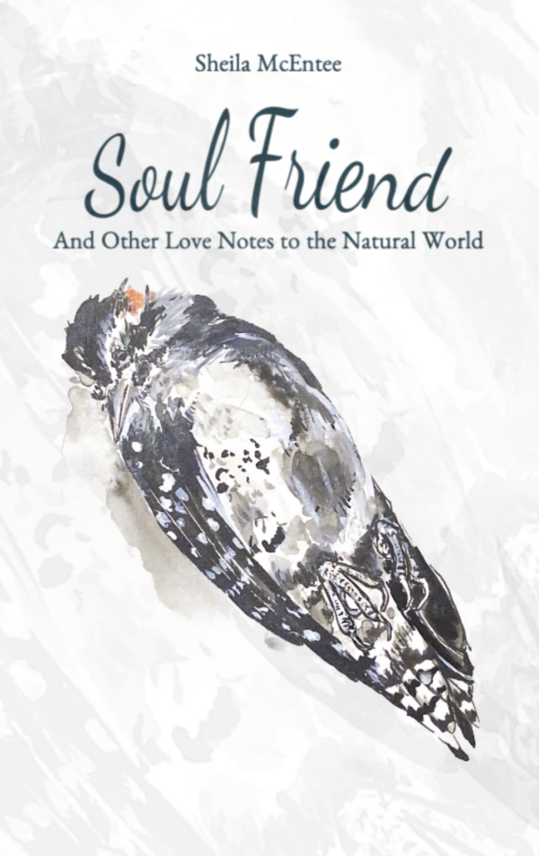 Soul Friend: And Other Love Notes to the Natural World